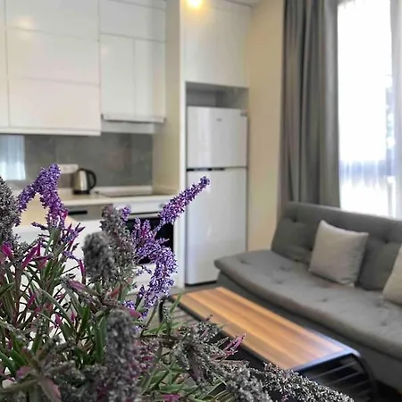 Camelia 2 Beautiful 1+1 On Cleopatra 아파트 *