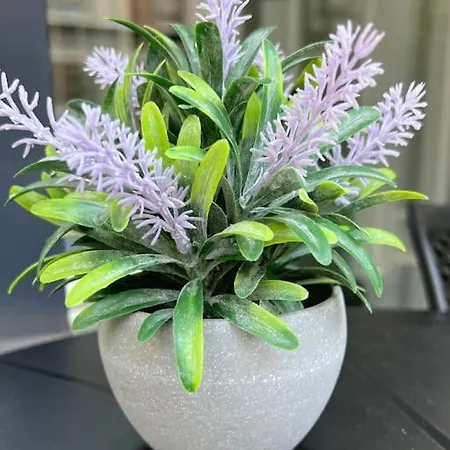 Camelia 2 Beautiful 1+1 On Cleopatra Apartment Alanya