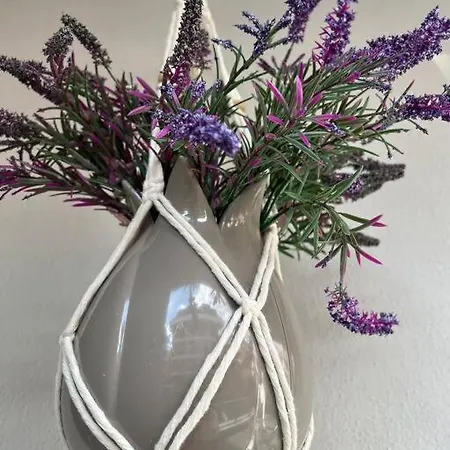 Camelia 2 Beautiful 1+1 On Cleopatra アパート